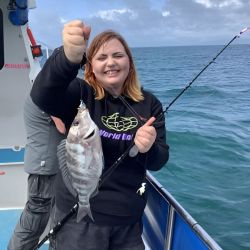 Black Bream