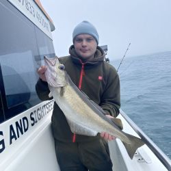 C04AE1CC-ED0B-4089-9A81-5F3317D2A5C6