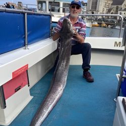 Conger Eel