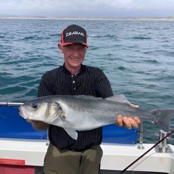 Large Sea Bass