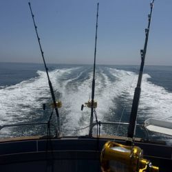 Opportunity-Charters-Charlie-Boy-heads-out-at-speed-for-another-successful-day-catching-Bluefin-Tuna.jpg