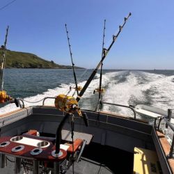 Opportunity-Charters-Charlie-Boy-returns-after-a-successful-day-fishing-and-catching-Bluefin-Tuna.jpg